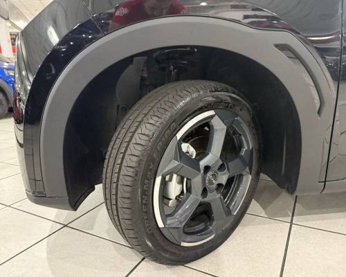 314219-byd-dolphin-mini-20250321203835864484