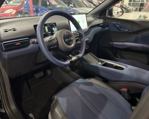 314219-byd-dolphin-mini-20250321203836773183