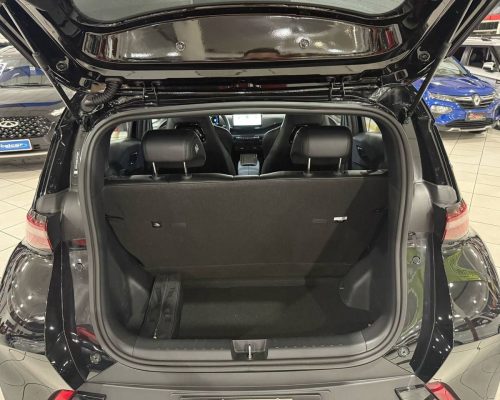 314219-byd-dolphin-mini-20250321203837208328